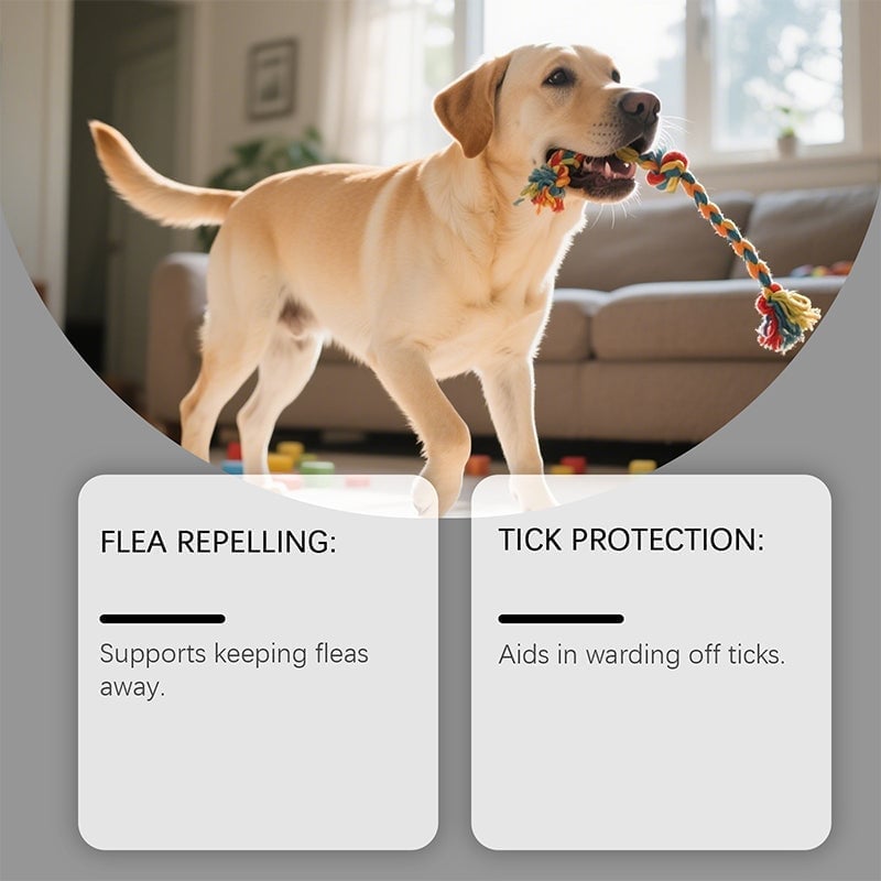 Flea & Tick Dog Skin Care Spray