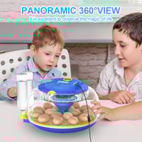18-Egg Incubator