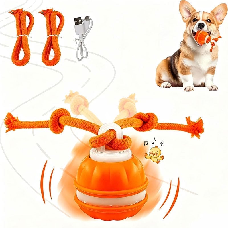 ⭐Interactive Smart Rolling Pet Ball