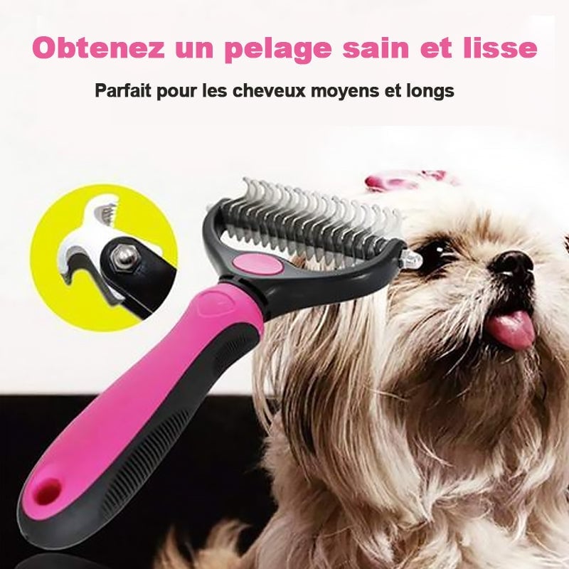 1d30bb9a-cc73-4769-944a-e7079d3e8400