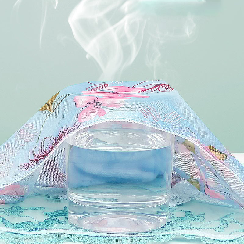 Spitzen-Mesh-Stickerei, elegante Damenunterwäsche