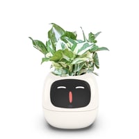 Smart AI Flowerpot with Temperature Display and Animated Expressions