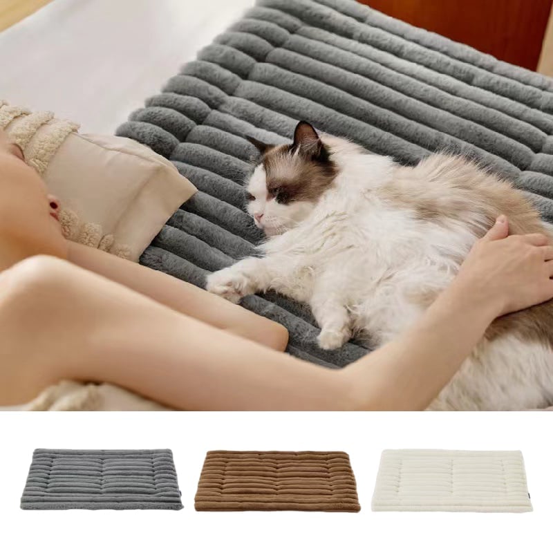 7a2d576e-d73b-4bd7-47a5-511518743a00