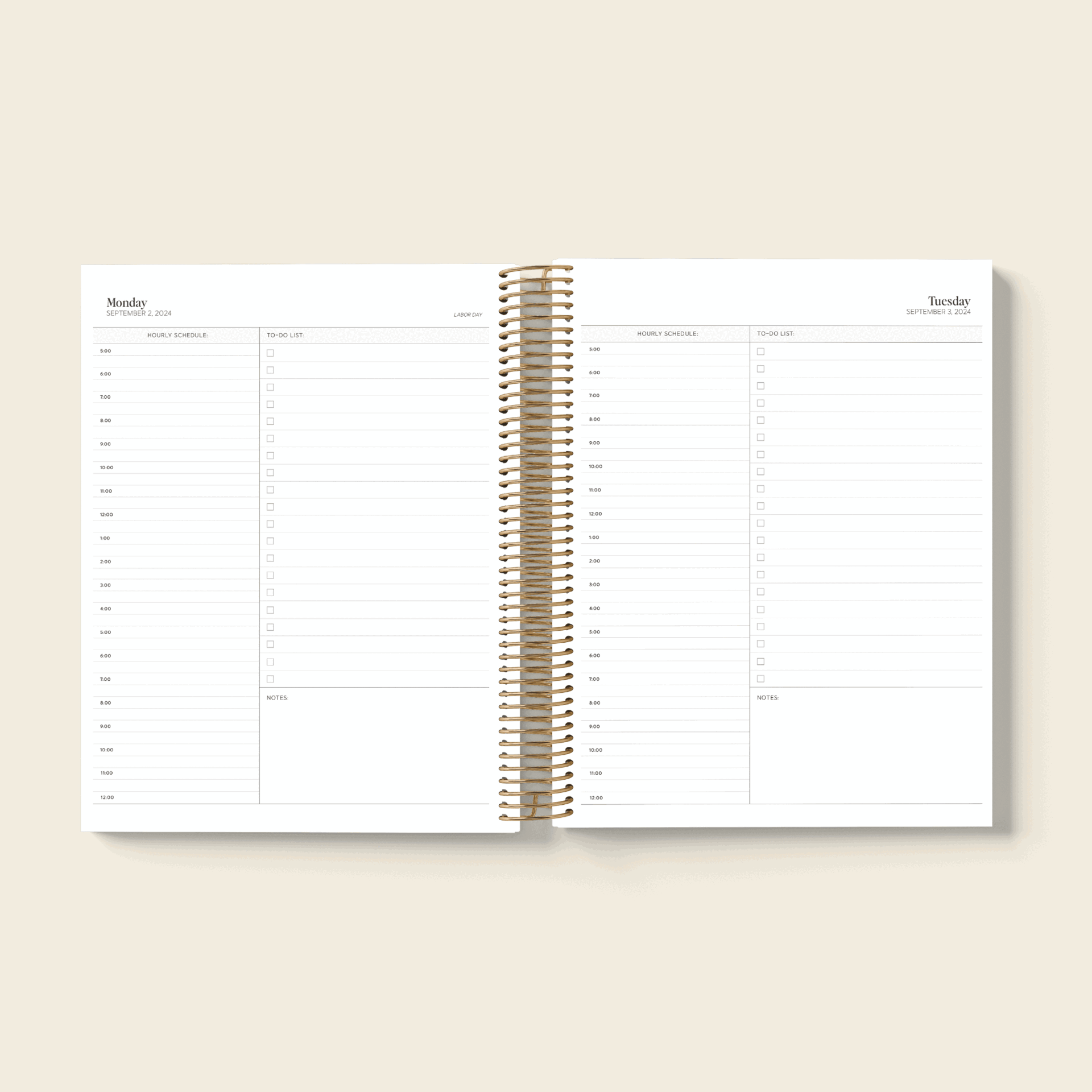 2025 Vanilla Daily Planner