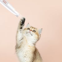 6_773c46de-0bff-403d-be7a-22052a1d9a9e