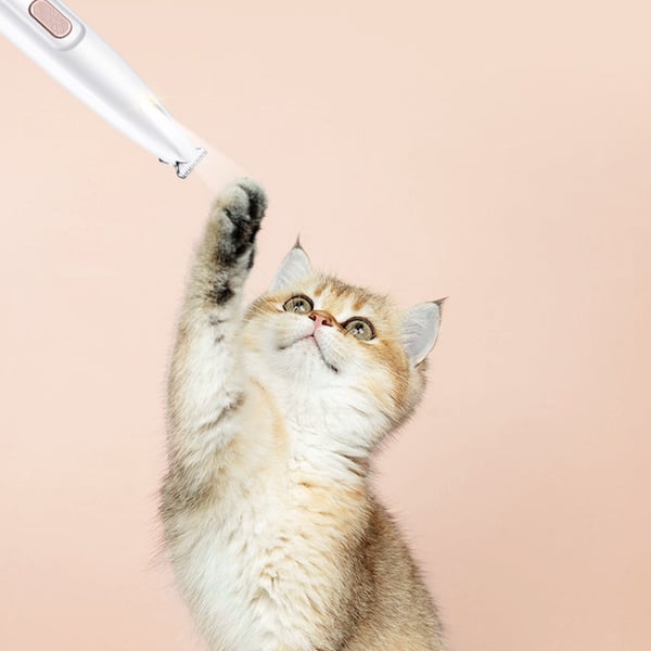 6_773c46de-0bff-403d-be7a-22052a1d9a9e