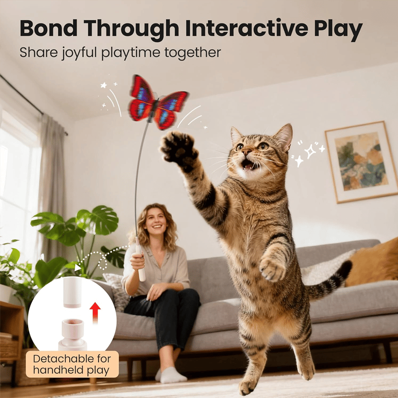 Automatic Suction Cup Electric Cat Teaser