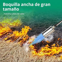 cb39c95c-648b-4b17-6193-392903e3e000.jpg