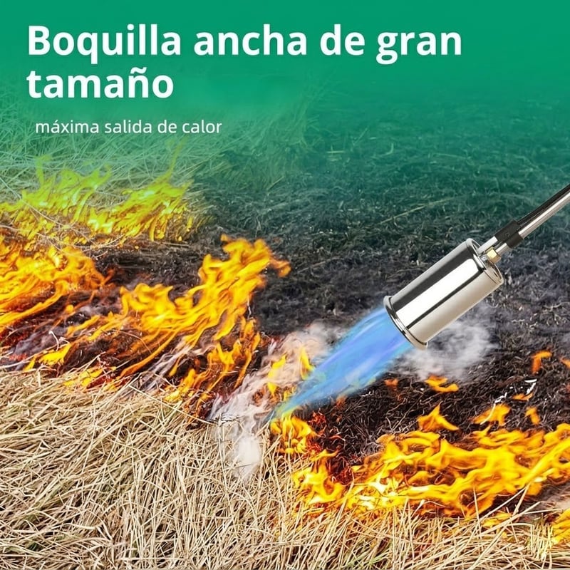 cb39c95c-648b-4b17-6193-392903e3e000.jpg