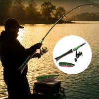Fish-shaped telescopic rod