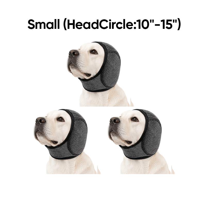 dc5538b4-17b1-4189-f6b6-9f7f9064ae00