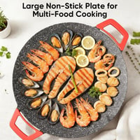 Non-Stick Electric BBQ Grill with Temperature Control