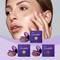 Soft Matte Cream Concealer
