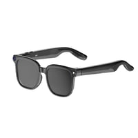 Sakerplus® AI Smart Translation Glasses