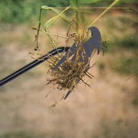 SAKER® Garden Weed Pulling Tool