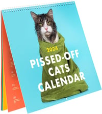 2025 Forbanna kattekalender