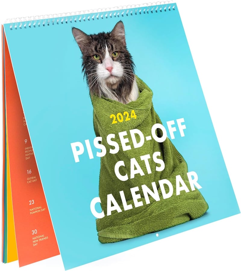 2025 Forbanna kattekalender