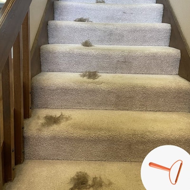 5_b89e4b7d-db4e-4a47-858f-c1b283a7ea91