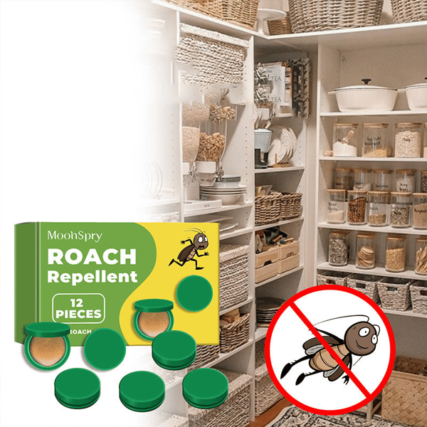 Effektivt Kackerlacksmedel För Hem, Studentrum Och Kök – Gelbete Mot Kackerlackor