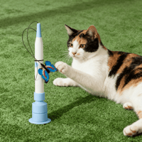 Automatic Suction Cup Electric Cat Teaser