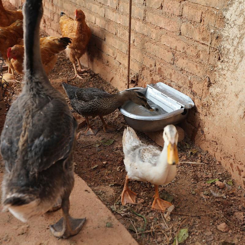 Livestock & Pet Drinking Bowls