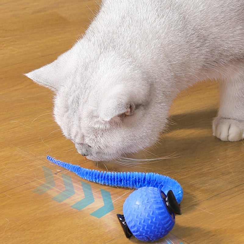 Der Smart-Welle Jagdball