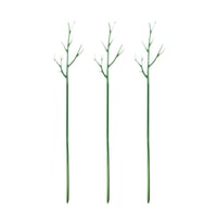 Plant climbing pole