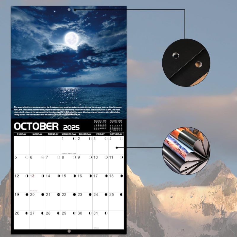 2025 Wall Calendar