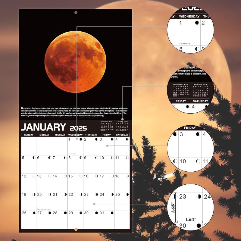 2025 Wall Calendar