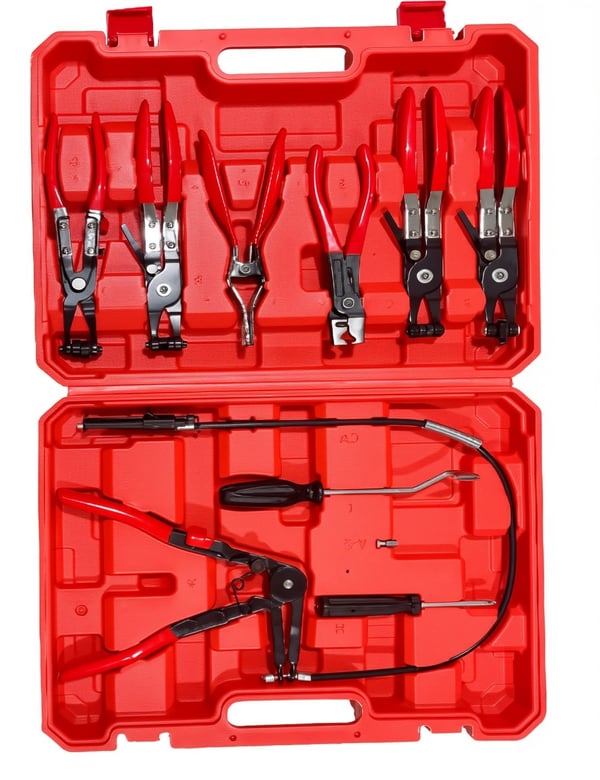 Sakerplus Professional Hose Clamp Kit