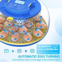 18-Egg Incubator