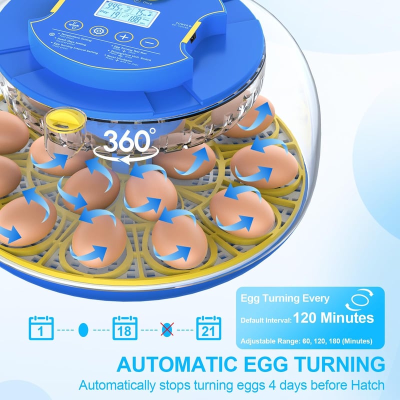 18-Egg Incubator