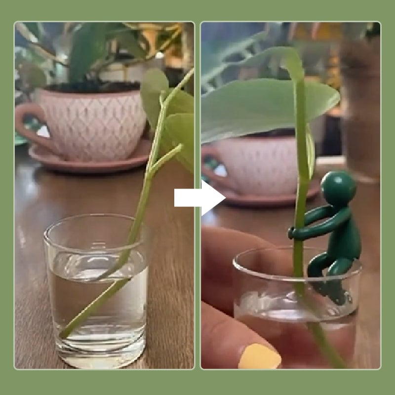 SALE - Plant Propagation Buddy