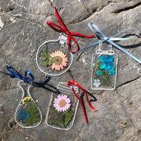 🌸Gedroogde Bloem Bladwijzers Set