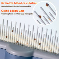 300f98d9-840b-42bb-8fab-a9faf0187900