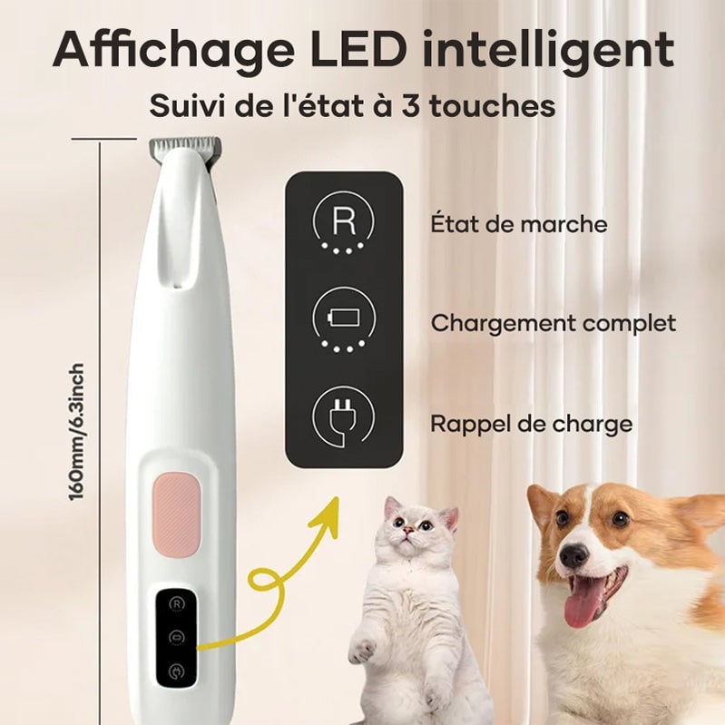 Tondeuse pour poils d'animaux avec lumière LED