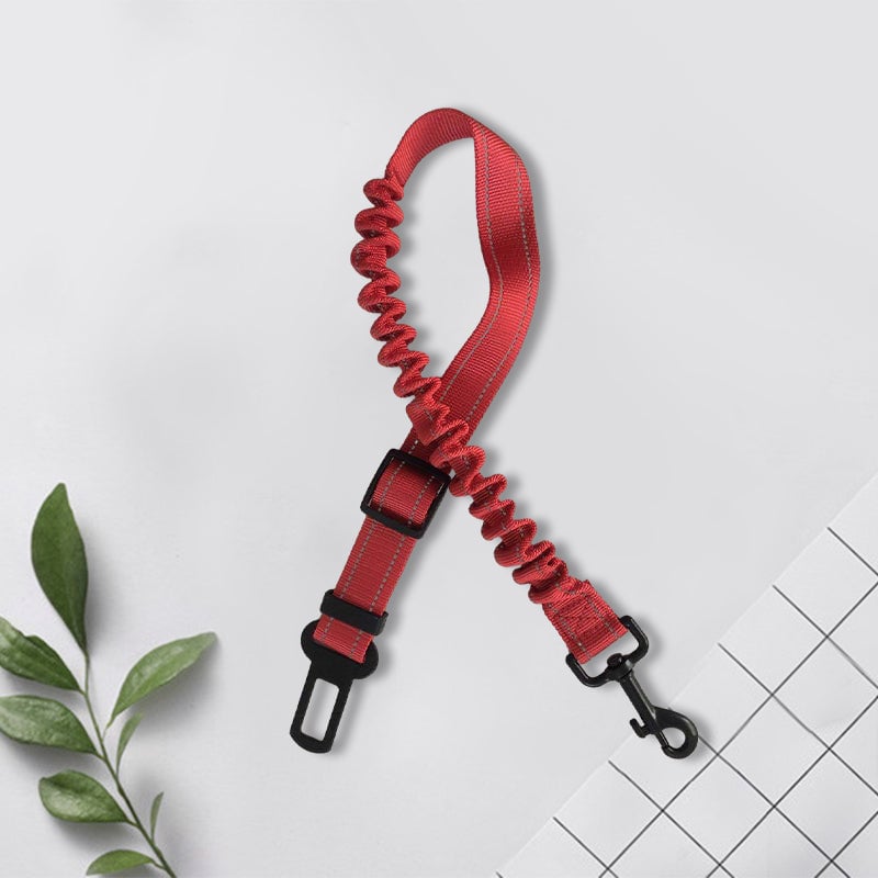 1_73881a0f-032f-46cc-9f0e-c621e88d9958