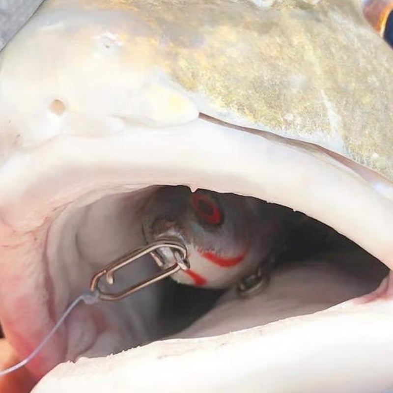 b8418231-6fa3-4e4f-1213-5530697abf00