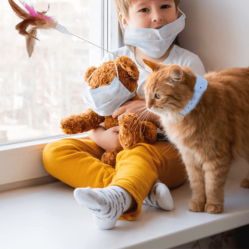 Jouets interactifs amusants pour chats
