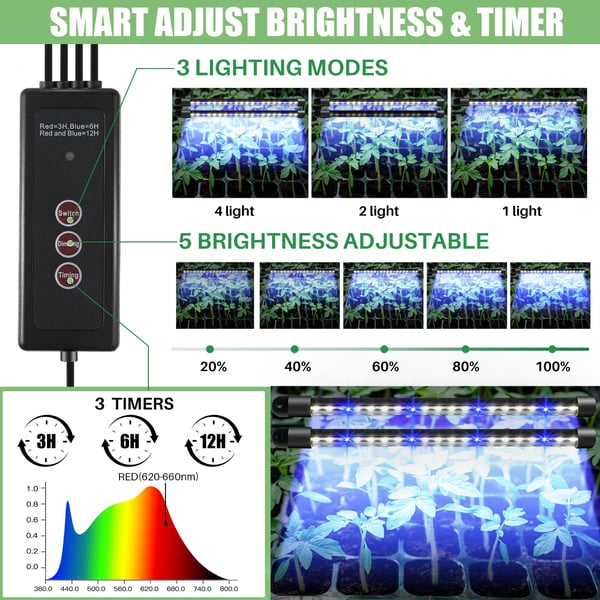 image_2_c94fea9d-3a0e-4b25-b4c3-83a737f9e8ac