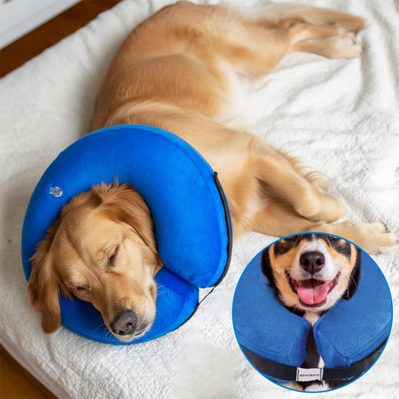 Inflatable Pet Cone Collar