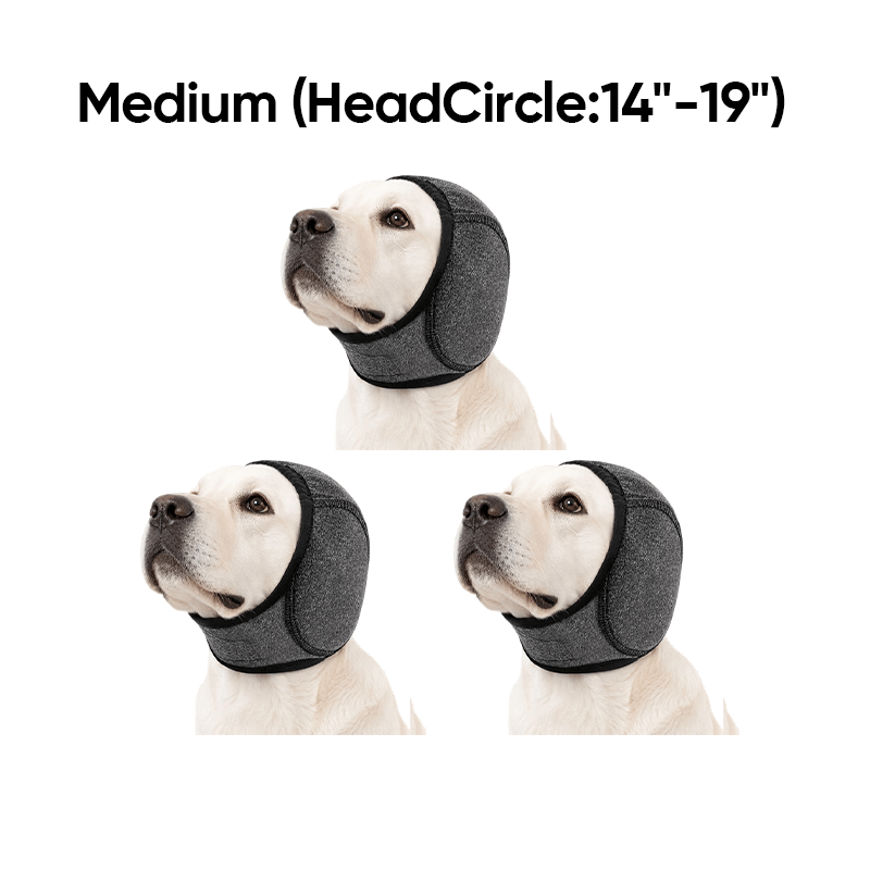 13921564-cbe1-43e1-f1c0-6f3123696900