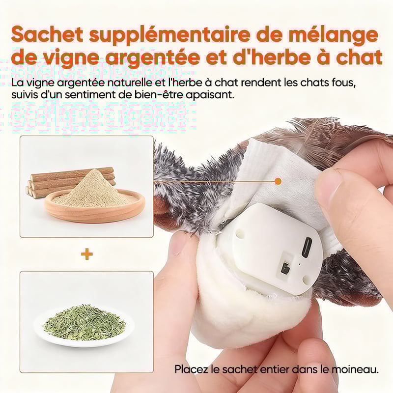 0491c566-9fba-4831-9576-fc30884b9000