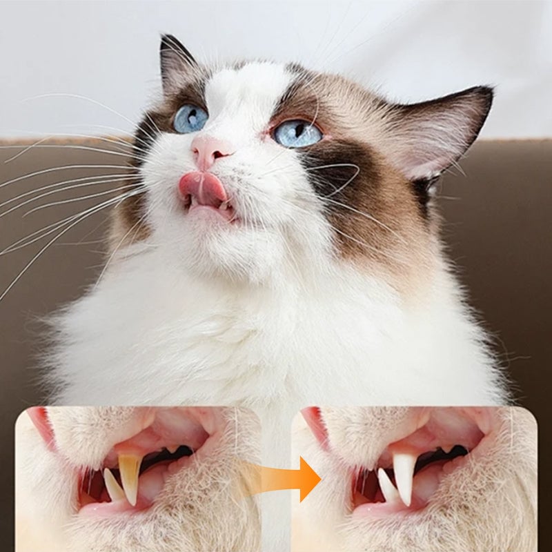 Pet Tooth Cleaning Pen – Toothpaste & Brush in One