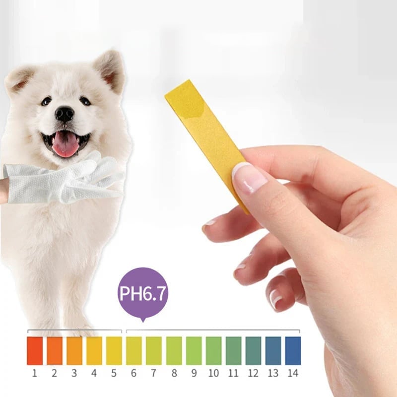 Pet Glove Wipes för Hundar & Katter