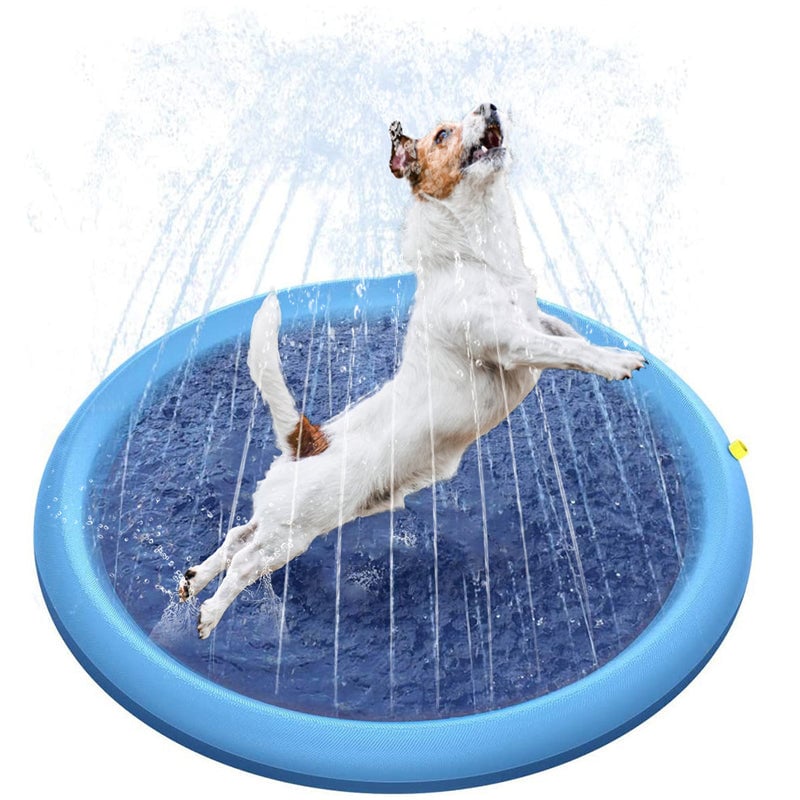 🐶Tanzschwimmbad für Hunde & Familie🐱