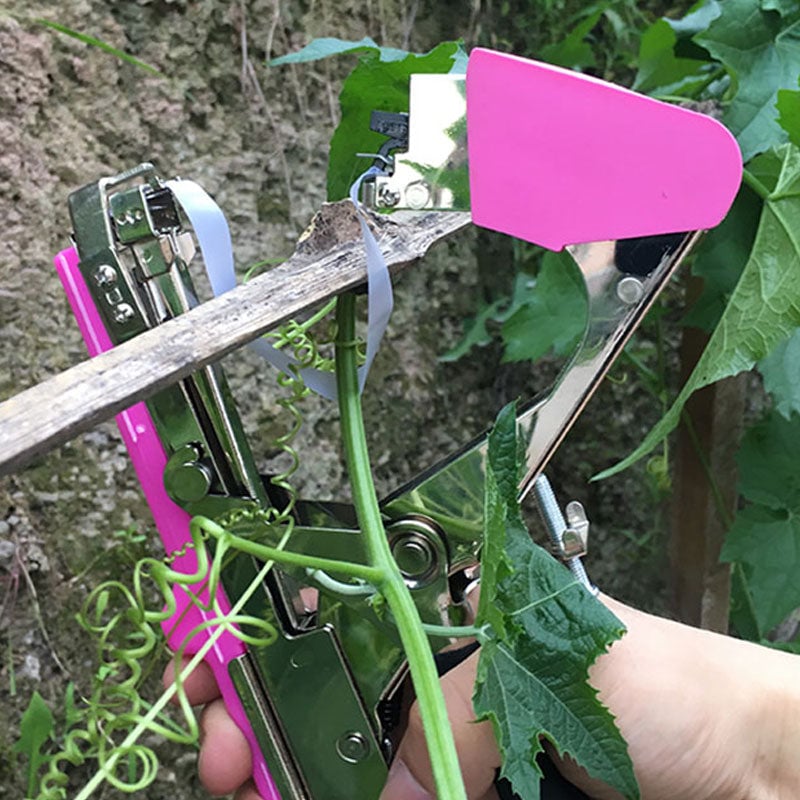 Vegetable and Fruit Bundler