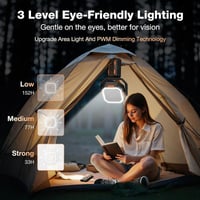 Kexon™ Camping Fan with Light & Power Bank