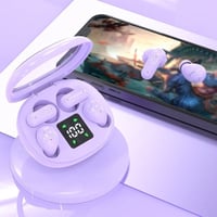 Dual Bluetooth Wireless Earbuds