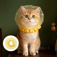 画板 9.jpg